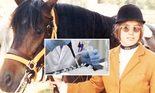 picpidididiid17 4 19