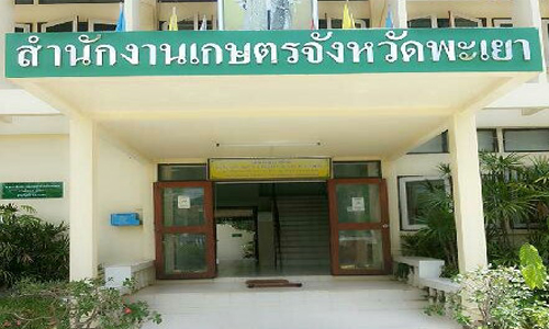 picidididiidididid2 6 62