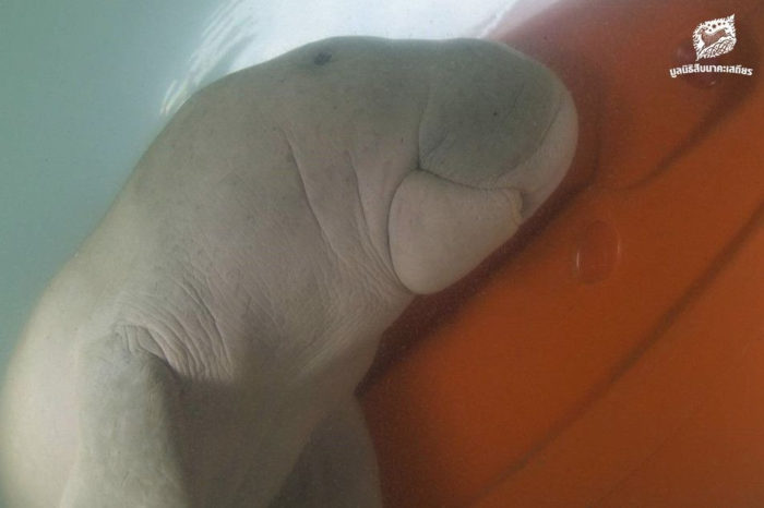 8773C7A607E64B9B99B40D5EF1DC746E 700x466