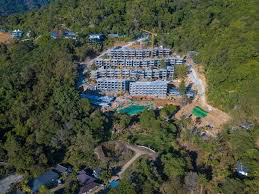 pichrtrtrtrrrr20 8 19