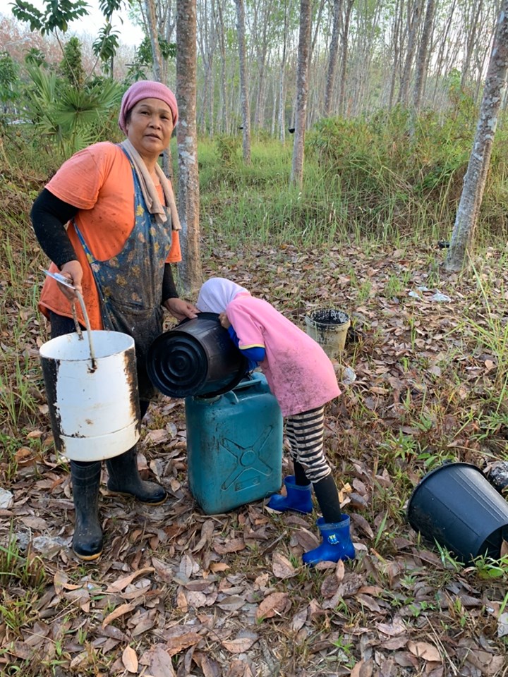 72204715 2409723049250698 6700379033093275648 n