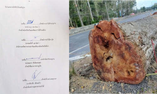 picsdsdsdsadsaasdadsaasdad19