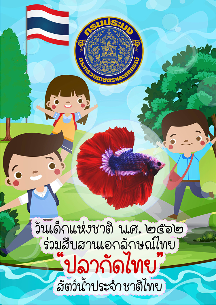 49542295 229585201296229 2269404201731751936 n