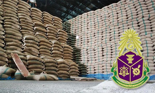 PIC naccdd 27 1 62 1