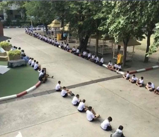 75567459 138355607576732 3390367937020821504 n