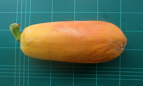 241219 papaya