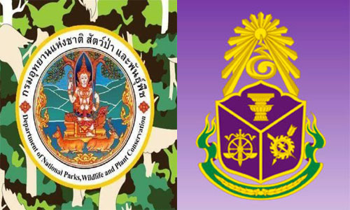 PIC autayan 13 3 62 1