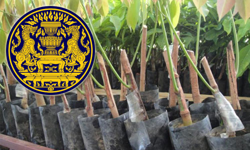 PIC klayang 30 3 62 1