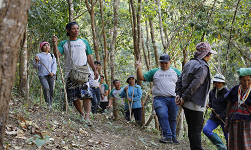 03 ทำแนวปองกนไฟจ.เชยงใหม1