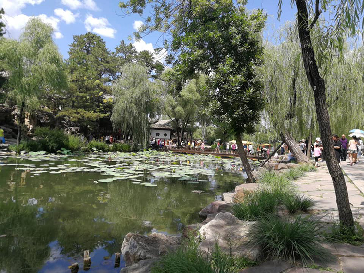 66860837 1843048905840766 6435112382489427968 n