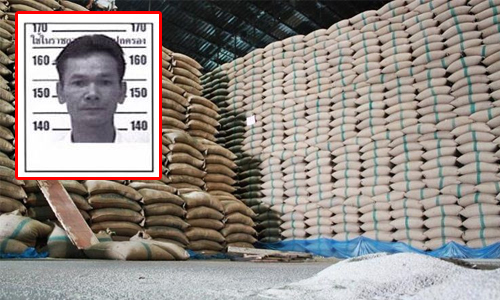 PIC suteesutee 7 7 62 78