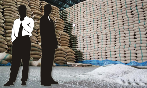 PIC ricerice 8 9 62 1