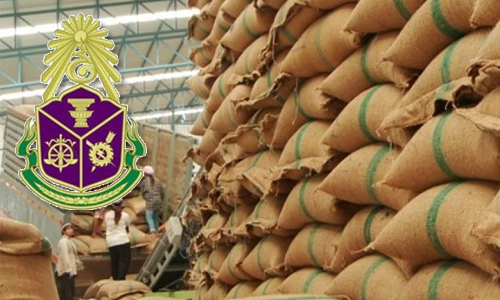 PIC rongsee 9 9 62 77