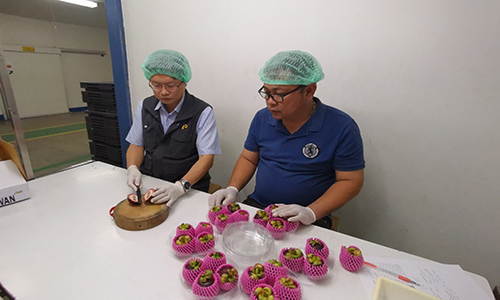 timeline 20190905 152537