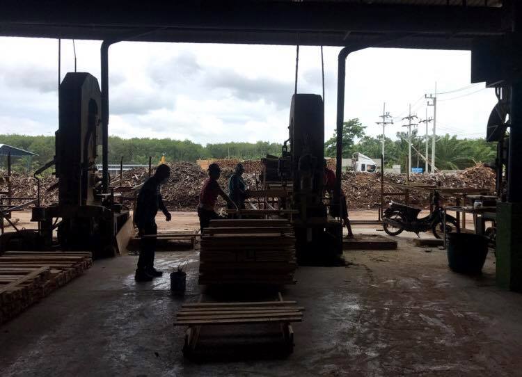 81946995 586294821931489 8060460575756386304 n