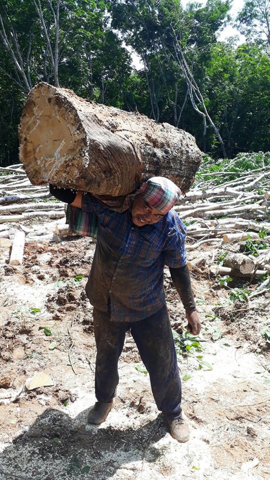 82919140 680852686055481 7687531078000574464 n