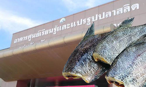 picpakdkdkdk000d26 1 63