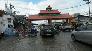 pattani1