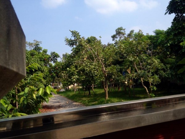 10808198 814283905298697 581594281 n