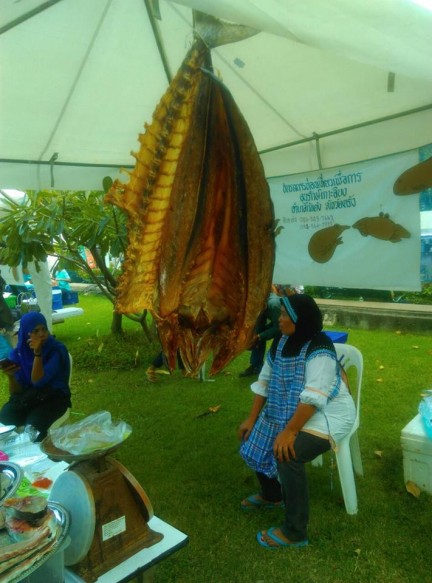 10678801 940482462647989 5058429807245614841 n 1