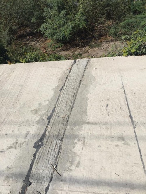 10965502 758519954243654 454716739 n