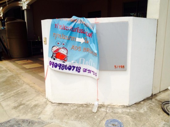 11075133 879768938750193 664829213 n