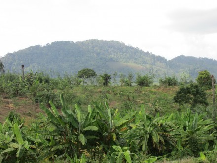 santipatthana1311058