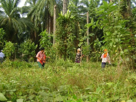 santipatthana3311058