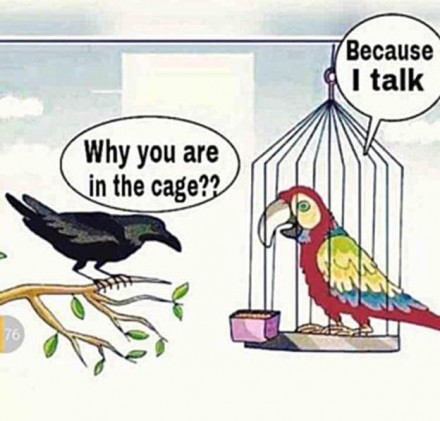 13096169 10154151983439122 1069932833976736745 n