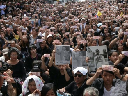 14724509 1076206312492838 2817384286913713207 n