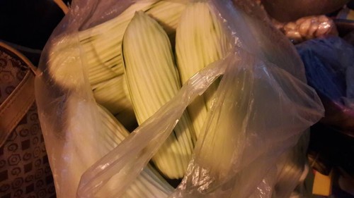 21032450 1798798930148436 2876810773956051009 n